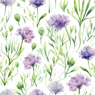 Chive flowers in shades of purple and green, painted in watercolor style on a white background