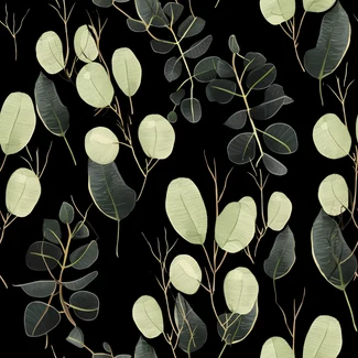 Eucalyptus leaf pattern illustration on black background