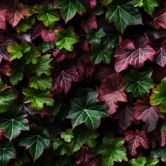 Ivy leaves in shades of red, green, blue, white, and black set against a tree leaves background.
