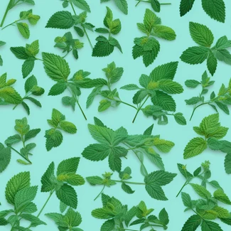 Seamless botanical pattern featuring green mint leaves on a light blue background in a dadaist photomontage style.