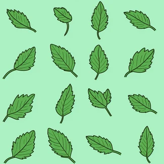 A light green background with a simple design of mint leaves.