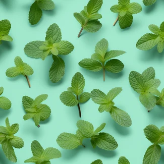 Mint leaves on a turquoise background nature-based pattern