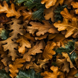 Macro photograph of oak leaves in various shades of green, gold, and orange against a colorful and textured background.