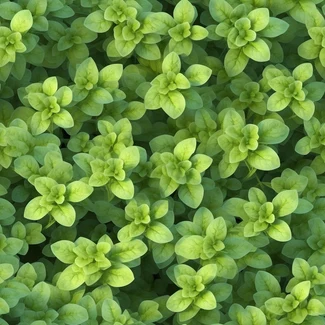 A repeating pattern of green and yellow basil leaves.