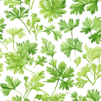 A seamless pattern of fresh parsley leaves and sprigs on a white watercolor background.