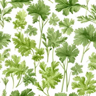 Watercolor botanical illustration seamless pattern featuring parsley leaves, flowers, and stems on a white background.