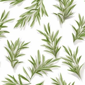 A seamless pattern of a rosemary vine on a white background.