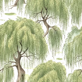 A seamless watercolor pattern featuring a botanical illustration of willow trees on a white background.